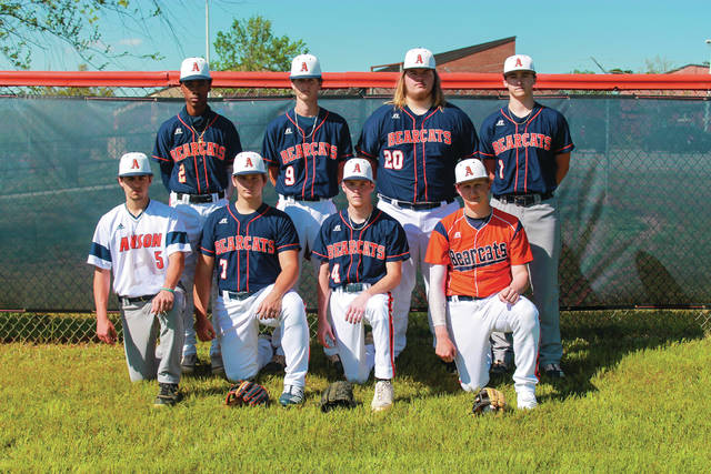 
			
				                                Eight Anson High School Seniors lead the way for the Bearcats baseball team this season. 
                                 Contributed Photo

			
		