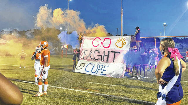 Go Fight WIN Breast Cancer Football Awareness October Pink Out 