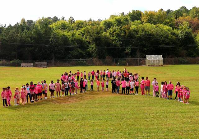 Strike Out Cancer - Perryville Elementary School