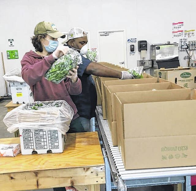 
			
				                                Local farmers and AgInnovations workers pack fresh produce for Anson and Richmond’s community boxes.
 
			
		