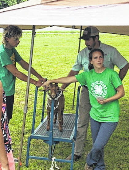 Gearing up for the 4-H livestock circuit