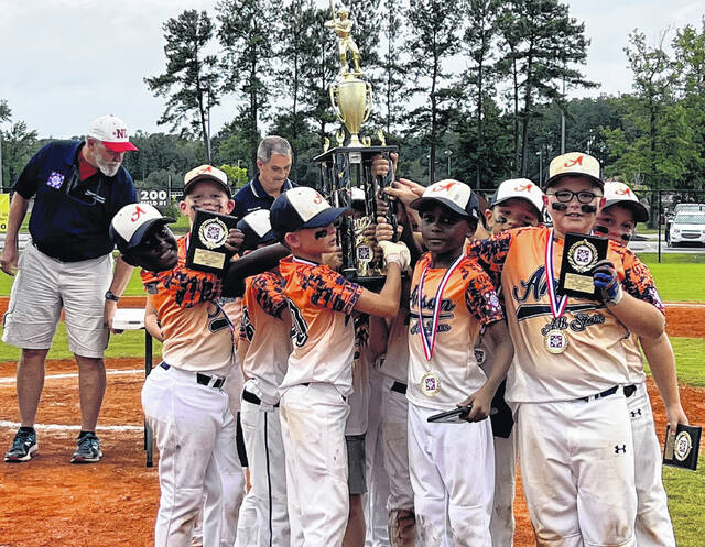 Anson's youth baseball teams represent at the state level