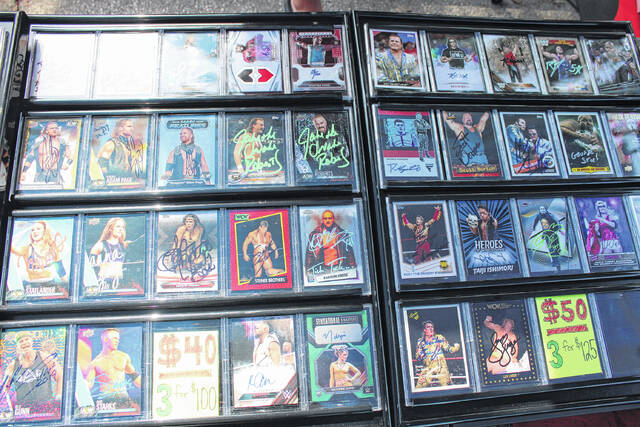 <p>Wrestling memorabilia was available for the fans of professional wrestling young and old. A street fair all afternoon provided some tasty food and tons of wrestling merchandise for fans old and new, while Titan Championship Wrestling Entertainment had an awesome line-up of talented wrestlers to perform for the crowd at night.</p>
                                 <p>Matthew Sasser | Anson Record</p>