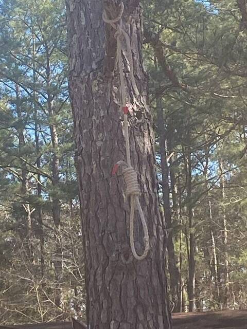 Noose removed from tree by Anson Sheriff's Office